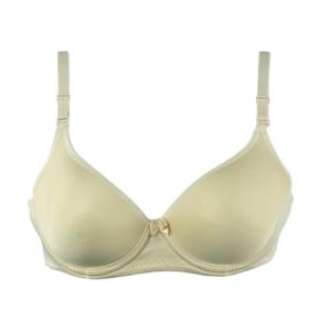 Bra Padded with Wire