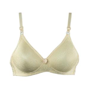 Assorted Bra Printed