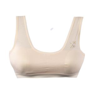 Teenage Bra 