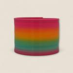 Rainbow Spring Toy – Classic Round Shape