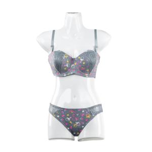 2Pcs Printed Bra & Panty Set With Wire 