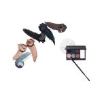 Laura Mercier Editorial Palette 2