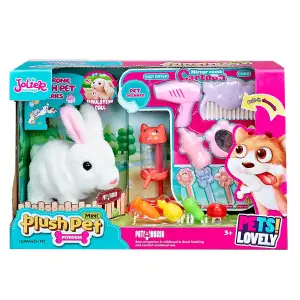 Pet Rabbit Play Set 2Asst