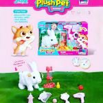 Pet Rabbit Play Set 2Asst