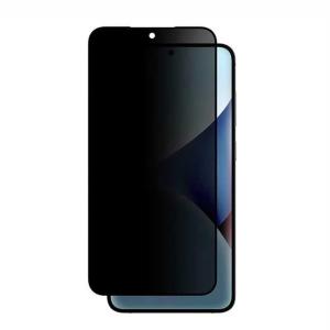 Amazingthing Samsung S25 Plus Fully Covered Radix Glass - Privacy