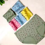 Ladies 6pcs Brief  Panty - Printed