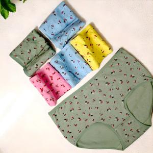 Ladies 6pcs Brief  Panty - Printed