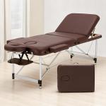 Folding Massage Table - 2-Zone Metal Portable Table for Physiotherapy - Brown