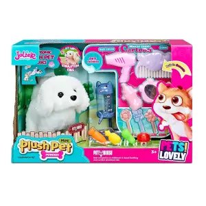 Pet Dog Play Set 2Asst