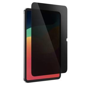 Amazingthing Ipad Pro 11" 2024 2.5D F.Cov.Radix Privacy Glass