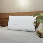 Mora Spain Sleep BioGreen Techinical Pillow