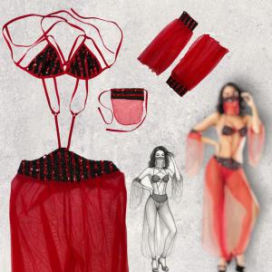 VIP Mesh Lingerie Costume Set